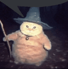 a cat dressed as a wizard is holding a wand .