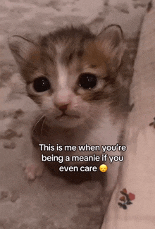 a brown and white kitten with a caption that reads " this is me when you 're being a meanie if you even care