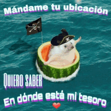 a hedgehog wearing a pirate hat is floating in a watermelon slice