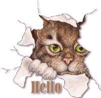 a cat is sticking its head out of a hole in a wall with the words hello written below it