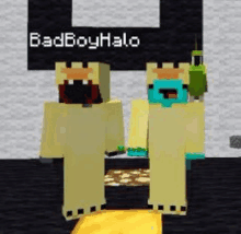 a couple of minecraft characters are standing next to each other in a room .