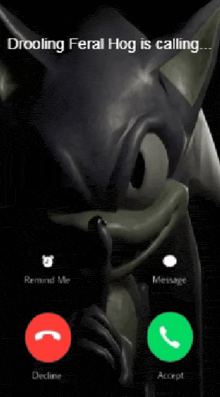 a screenshot of a phone screen with a sonic character on it
