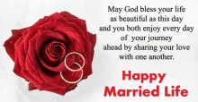 a happy married life card with a red rose and rings