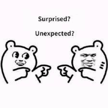 a couple of bears are standing next to each other and one of them is surprised and the other is unexpected .