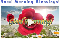 a good morning blessings greeting card with cats and roses