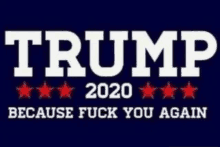 a trump 2020 poster that says because fuck you again