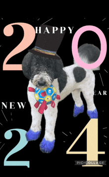 a black and white dog wearing a top hat and blue socks stands in front of a happy new year sign