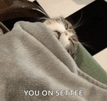 a cat is wrapped in a blanket with the words " you on settee " below it