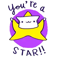 a yellow star with a white cat on it and the words you 're a star