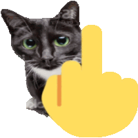 a black and white cat with a yellow middle finger