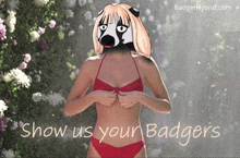 a woman in a red bikini has a badger on her head and the words show us your badgers