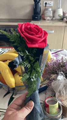 a person is holding a red rose wrapped in a blue cloth