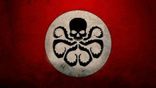 a black and white octopus with a skull in the middle of it on a red background .