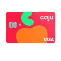 a red and orange credit card with a green apple and the word visa on it