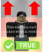 a picture of a roblox character that says " this post was fact checked by real federal agents true "