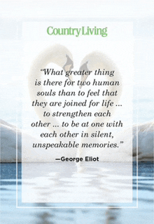 a quote by george eliot is on a picture of two swans in the water