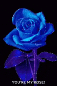 a blue rose with purple leaves on a black background with the words `` you 're my rose ''