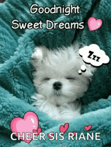 a puppy is sleeping under a blue blanket with the words goodnight sweet dreams cheer sis riane