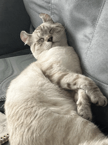 a cat is sleeping on a couch with its eyes closed