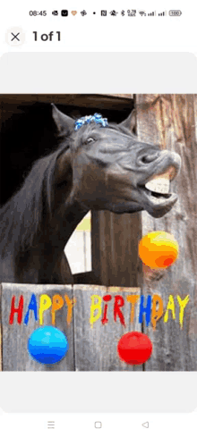 a horse with balloons around it and a sign that says happy birthday