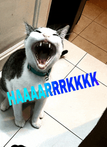 a cat is yawning with the words haaaarrrkkkk written on the floor