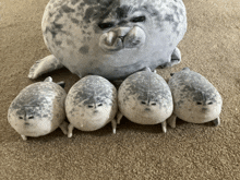 four stuffed seals are lined up in front of a large stuffed seal