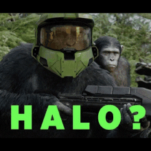 Halo_gts Meme