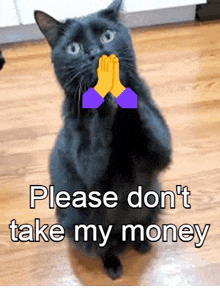 a black cat is standing on its hind legs with its hands folded in prayer and the words please don 't take my money below it