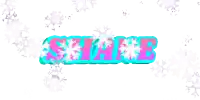 the word shane is surrounded by snowflakes in a pixel art