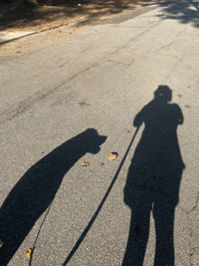 a shadow of a person walking a dog on a leash on a road