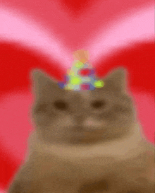 a cat wearing a birthday hat is sitting in front of a red background .