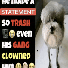 a dog standing next to a sign that says " he made a statement "
