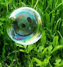 a soap bubble with a smiley face in the grass .