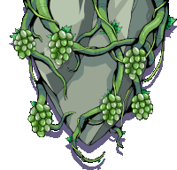 a bunch of green grapes hanging from a vine