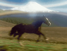 a horse running in a field with mountains in the background