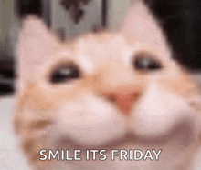 a close up of a cat with the words smile its friday written below it