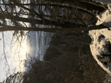 the sun is shining through the trees on a snowy hillside