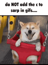 a dog is smiling while sitting in a red swing with the words do not add the c to sarp in gifs
