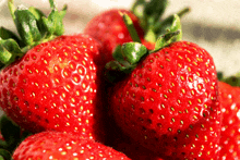 a bunch of strawberries with green stems are sitting on a table