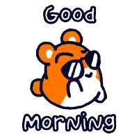 a cartoon of a bear wearing sunglasses with the words good morning below it