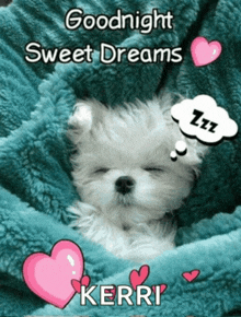 a small white dog sleeping under a blue blanket with the words goodnight sweet dreams kerri