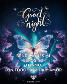 a poster that says " good night " with a butterfly on it