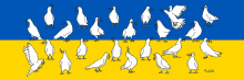 a drawing of pigeons on a yellow and blue background with the name aleksandr written on the bottom