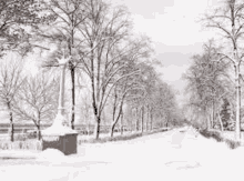 a black and white photo of a snow covered park with trees covered in snow .