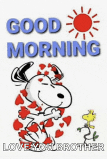 a picture of snoopy and woodstock with the words good morning love you brother