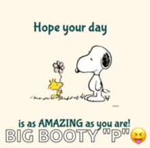 a picture of snoopy and woodstock with the words hope your day is as amazing as you are big booty