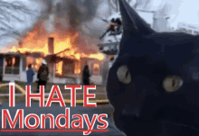 a black cat is standing in front of a burning house with the words `` i hate mondays '' written below it .