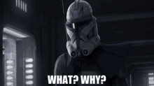 a clone trooper with the words " what ? why ? " written on the bottom