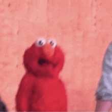 elmo from sesame street is standing in front of a pink wall and looking at the camera .