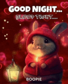 a rabbit in a red jacket is holding a candle and says good night sleep tight .